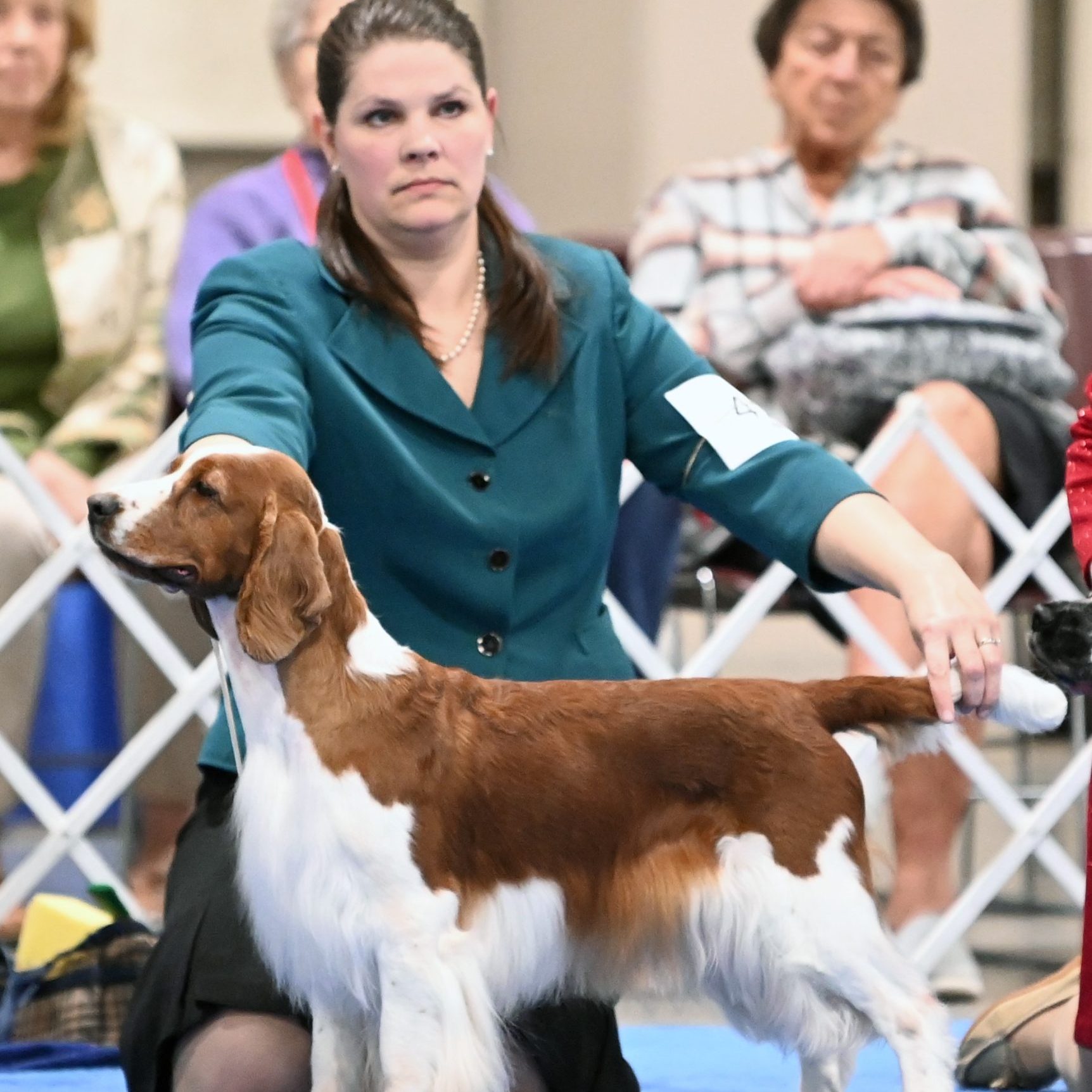 Sarabande Dare To Dream (Ai)