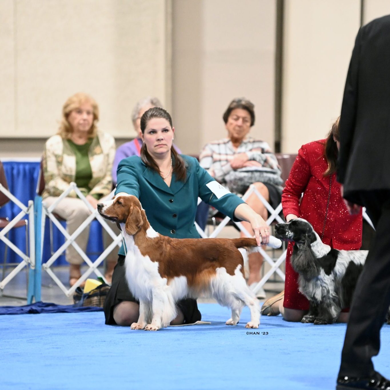 Sarabande Dare To Dream (Ai)