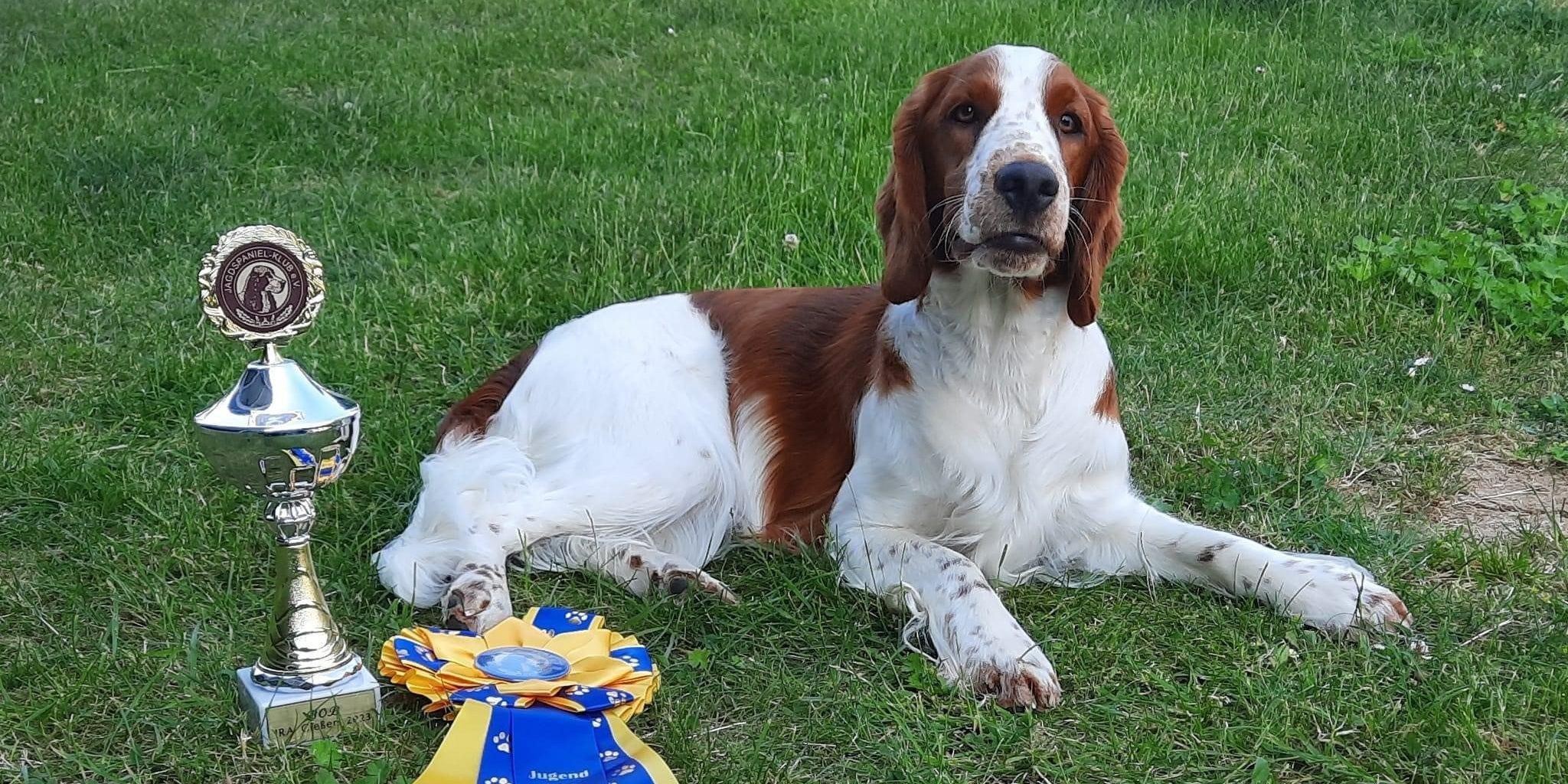 Sarabande Steal A Kiss Ai