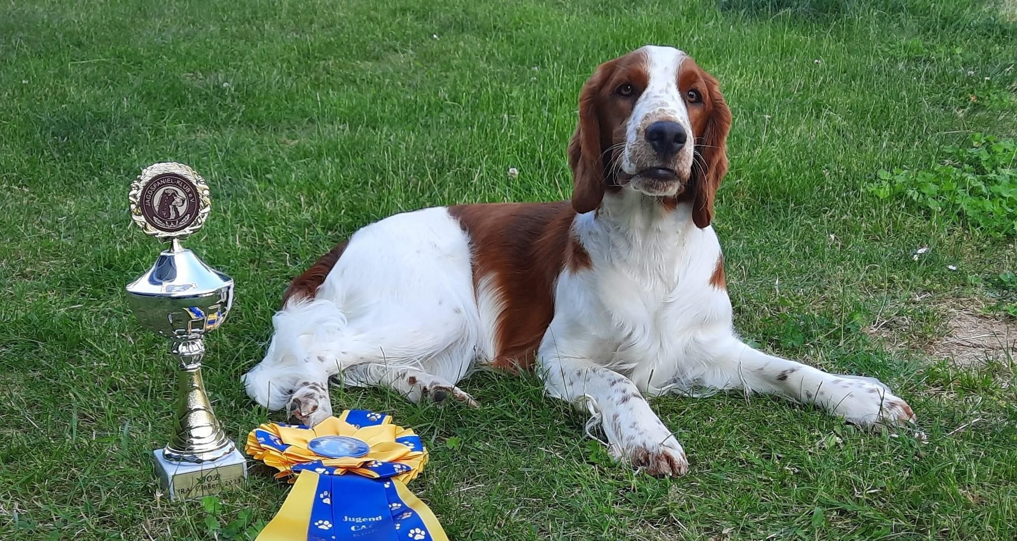 Sarabande Steal A Kiss Ai