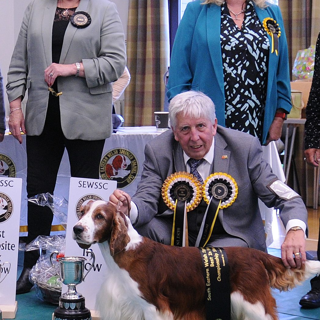 Skye and Nigel BIS Club CH Show