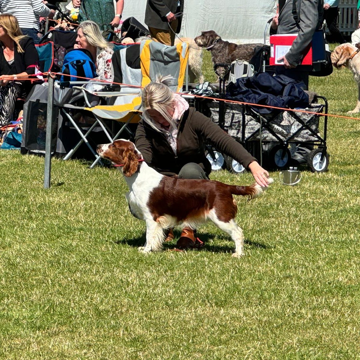 Spirit in the skye JW - Roxy