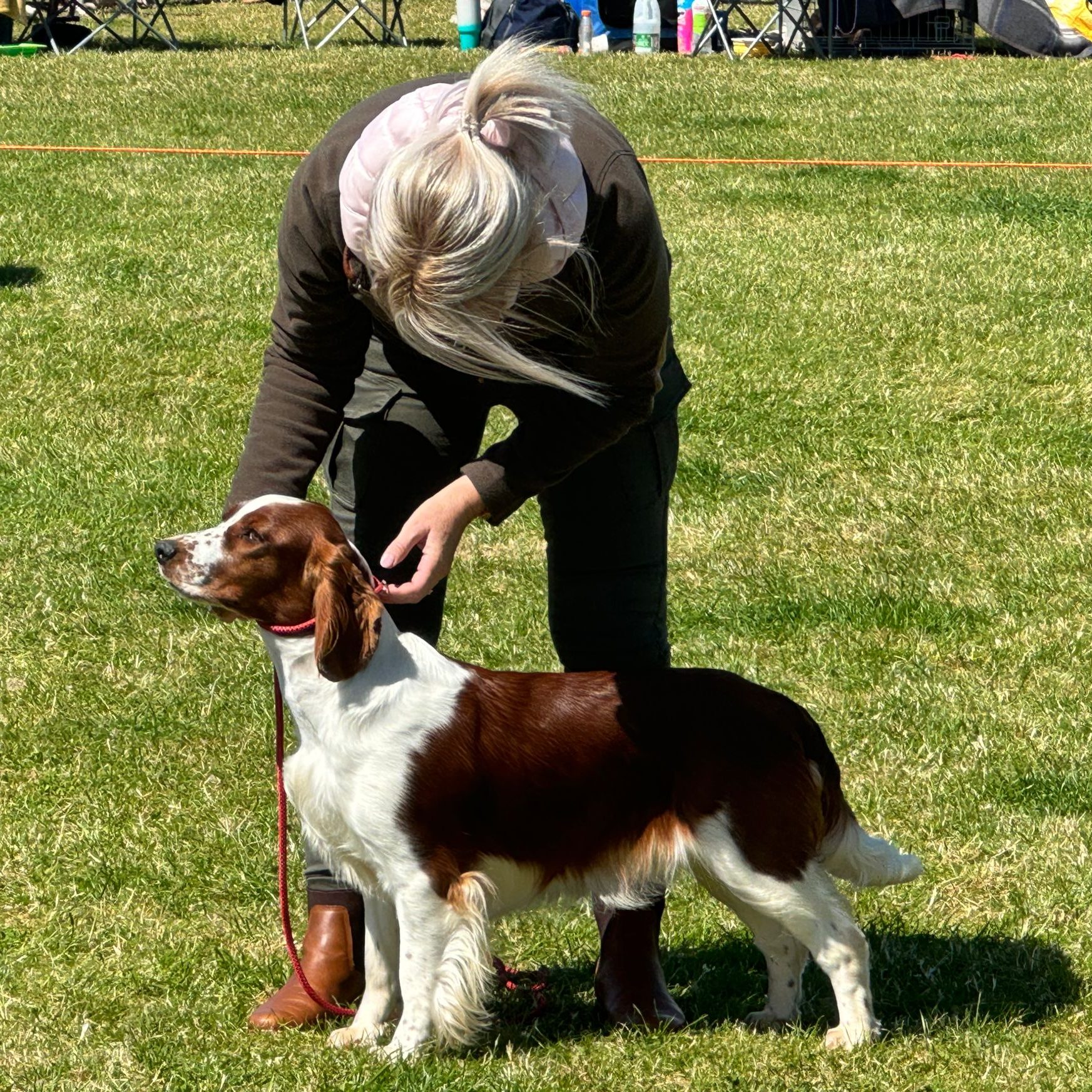 Sarabande Spirit in the Skye JW - Roxy