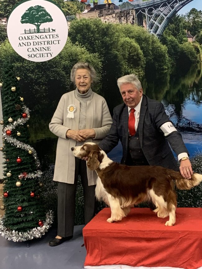 BVIS at Oakengates & Dst CS